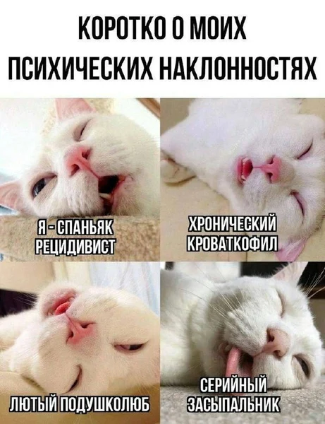 Коротко о моих психических наклонностях: я — спаньяк-рецидивист, хронический кроваткофил, лютый подушколюб и серийный засыпальник