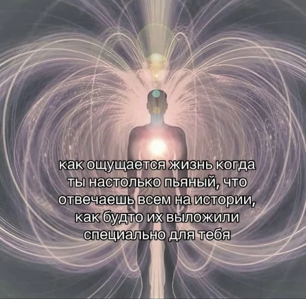 Когда выпил чуть больше нормы и внезапно стал главным героем всех сторис во вселенной ✨