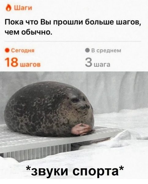 Когда сделал 18 шагов и организм требует недельный отпуск.