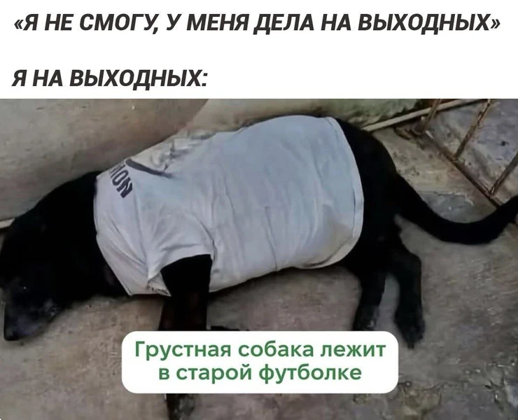 Планы на выходные: лежать как NPC под одеялом жизни.