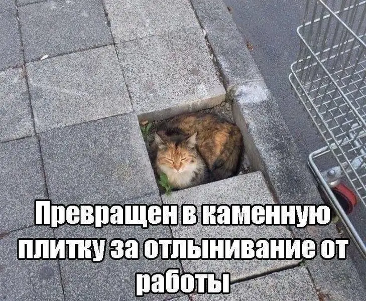 Если бы офисные наказания были честными — я бы тоже уже был плиткой.