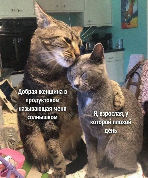 Терапия доступная каждому: кассирша, которая вернула мне веру в людей.