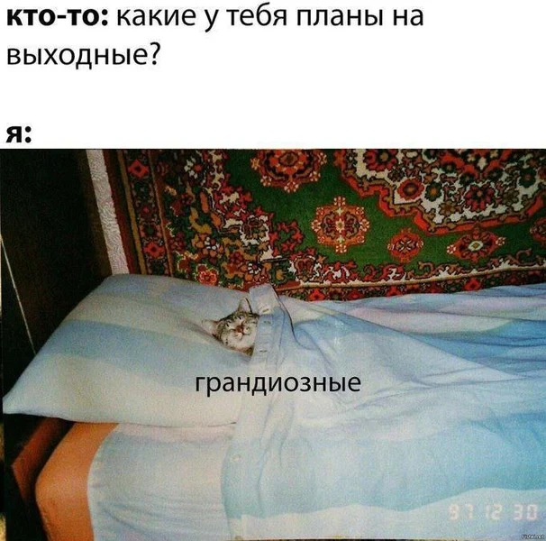 Планы на выходные? Только самые масштабные — лежу и масштабно ничем не занимаюсь.