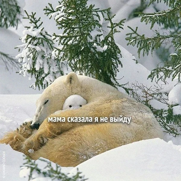 Когда друзья зовут на улицу, а ты в режиме "мама не пускает".