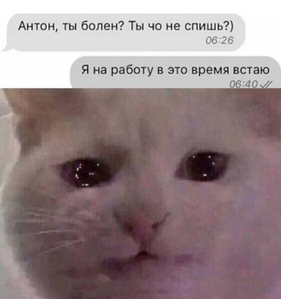 Когда твой график выглядит подозрительно даже для друзей.