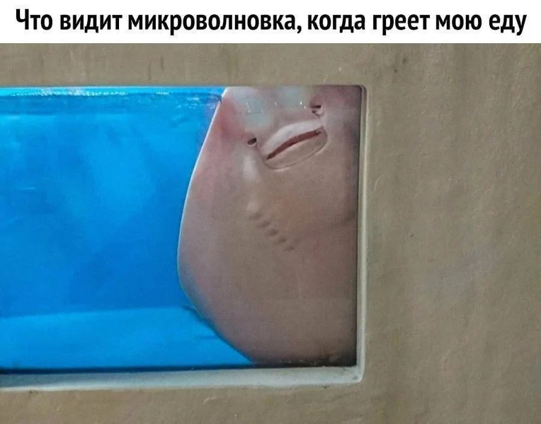 Я, наблюдающий за макаронами, как будто они сейчас сбегут.