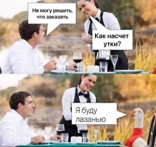 Когда предложили утку, но она решила сама за себя