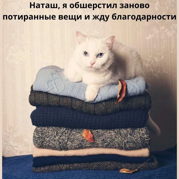 Когда только убрался, а кот решил, что надо добавить шерсти для уюта.