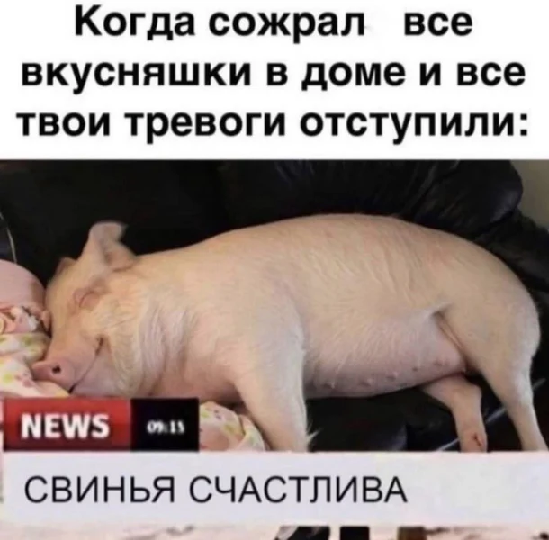 Лучший антистресс — холодильник. Проверено научно и свинкой.