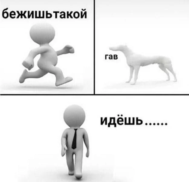 Собака включила режим: делай вид, что ты вообще не торопился.