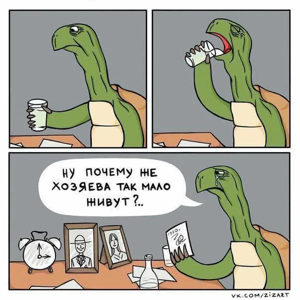 Черепашье долголетие: бонус + грусть + вопросы к мирозданию.