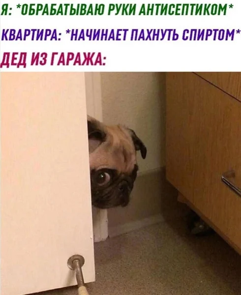 Уловил 96% с двадцати метров