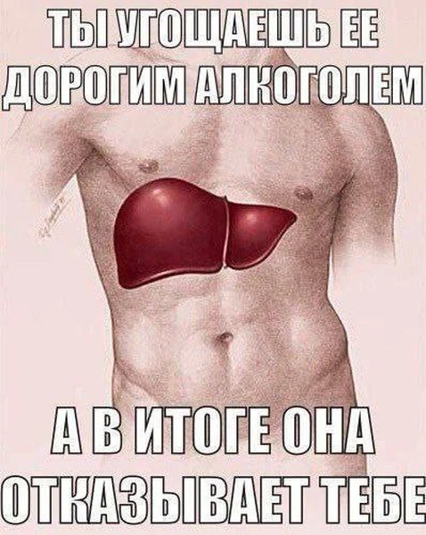 Инвестиции были, дивидендов — нет.