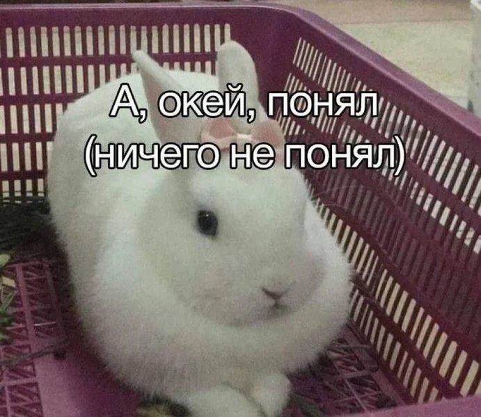 Сделал вид, что разобрался.