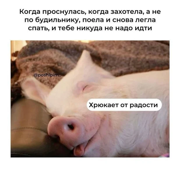 План на день: не нарушать это состояние