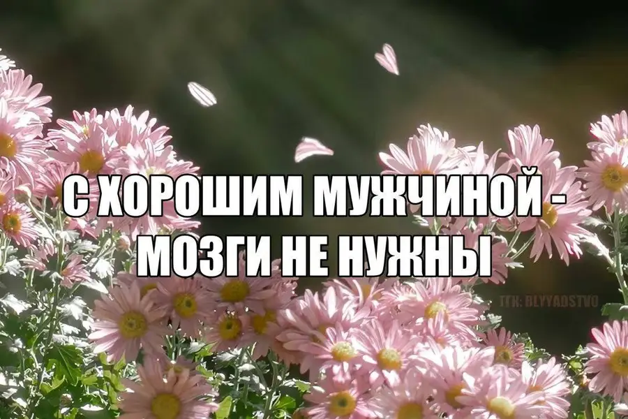 Когда ответственность делегирована полностью.