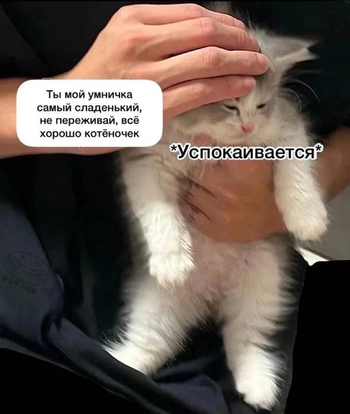 Работает лучше любых слов.