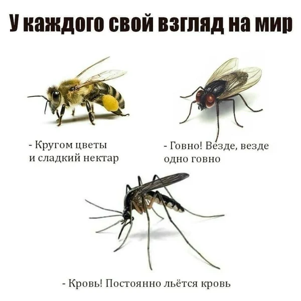Взгляд на реальность зависит от твоей природы