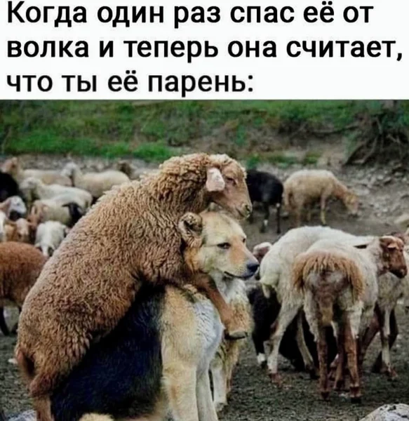 Неловкий момент, когда доброе дело внезапно становится романом