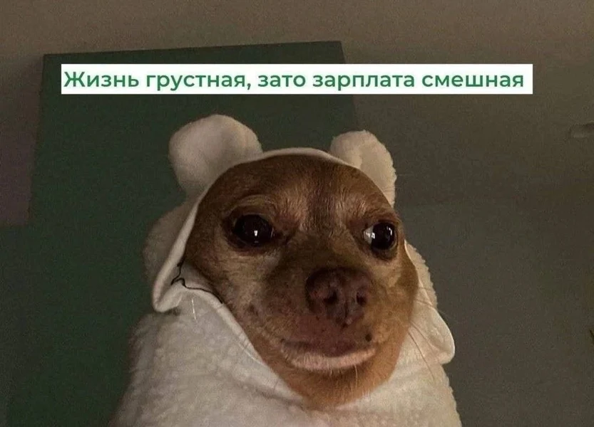 Когда даже зарплата старается тебя развеселить