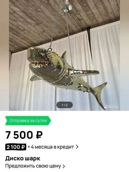 Никакой шар уже не нужен — теперь танцует акула