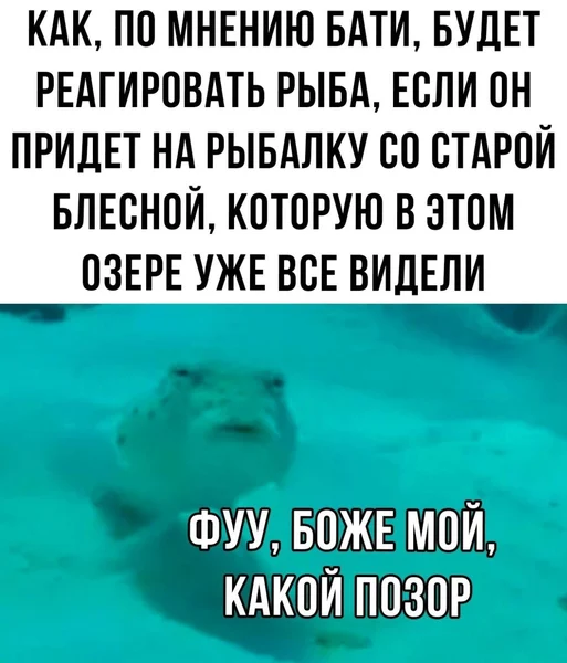Эта блесна позорит весь водоём