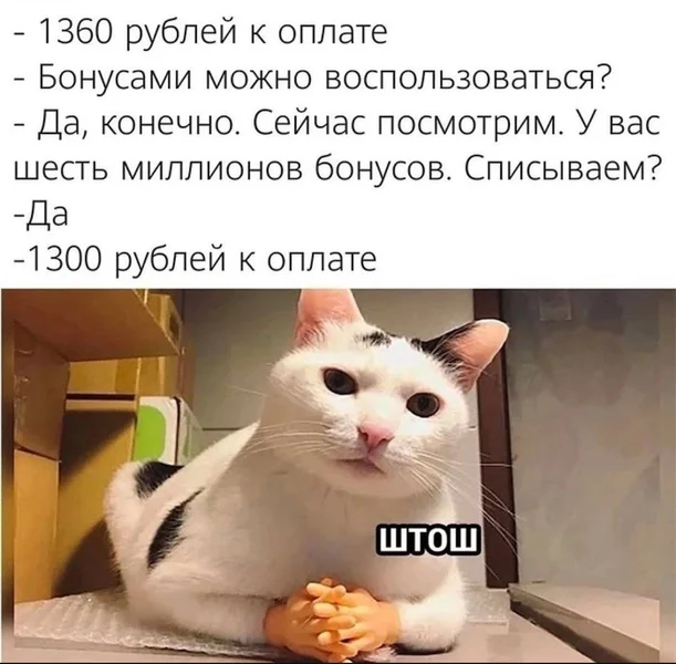 Когда бонусы есть, но пользы от них — как от кота с руками.