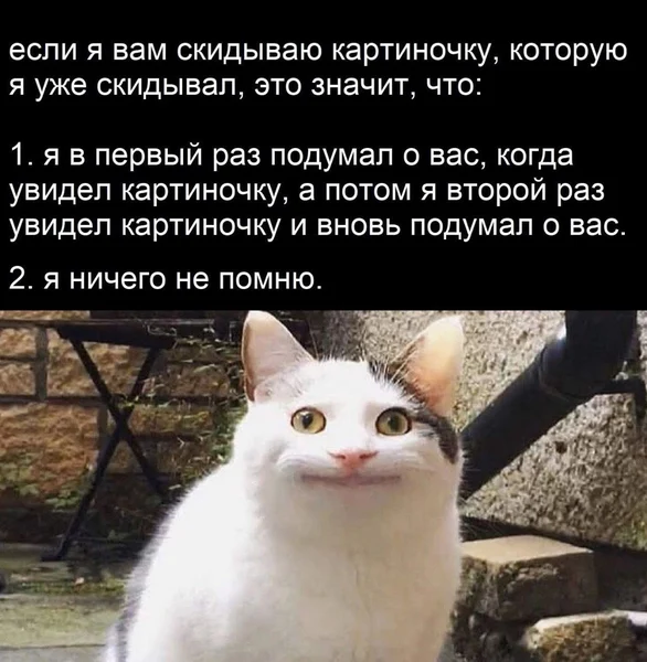 Либо ты особенный, либо я — забывчивый