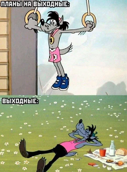 Хотел на тренажёры — остался с бутербродом на лугу