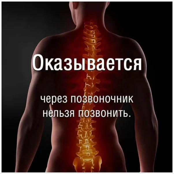 Грустное открытие для тех, кто верил в силу анатомических каламбуров.