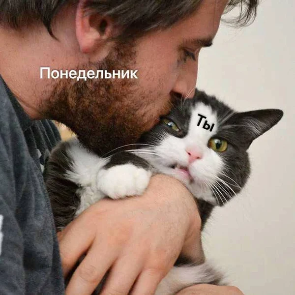 Когда понедельник наваливается без предупреждения.