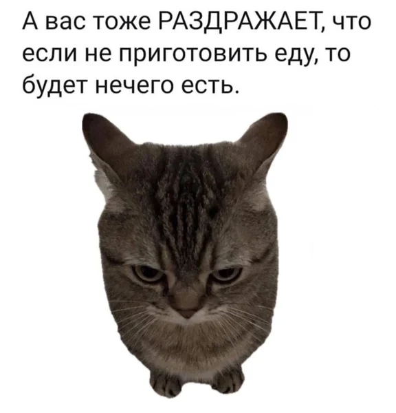 Логика реальности: не готовишь — не ешь. Обидно, но честно.