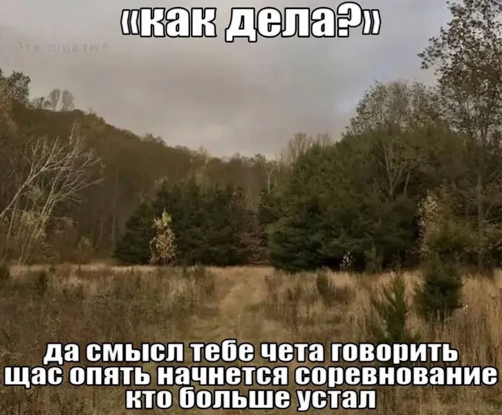 «Как дела?» — и понеслась: кто больше выгорел