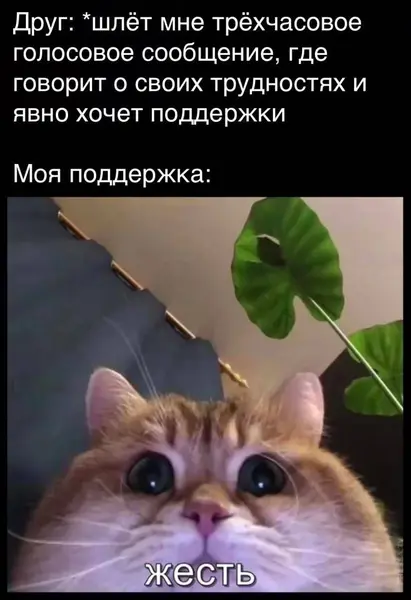 Поддержка уровня «жесть»