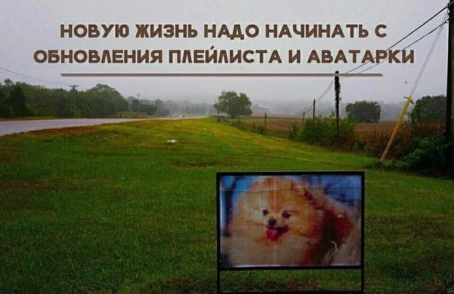 Перезагрузка системы: сменил музыку и лицо — готов к новым ошибкам.