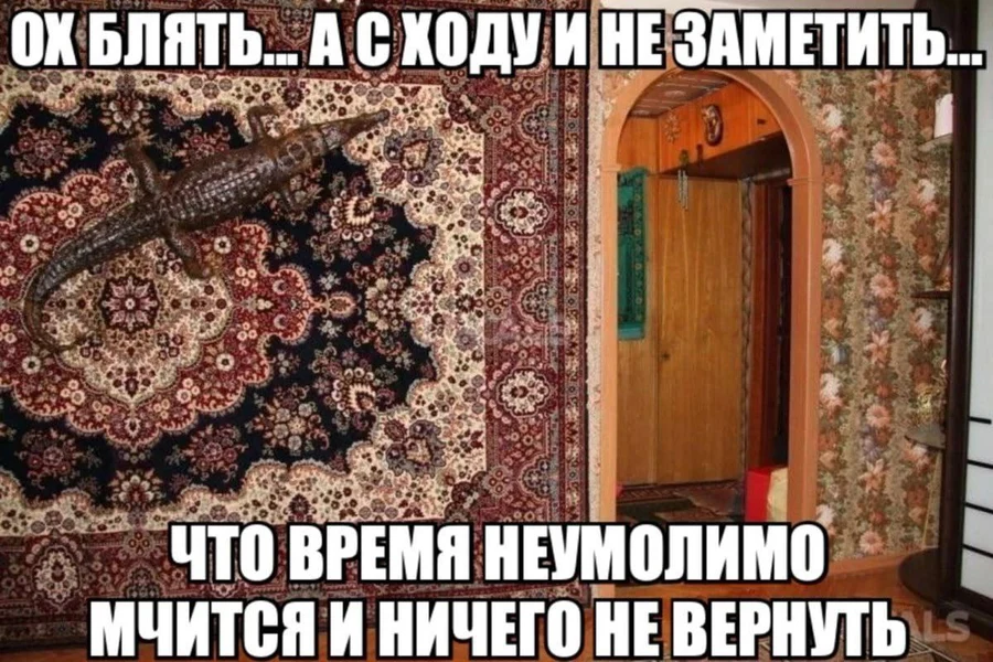 Когда пытался вспомнить, куда делись последние 10 лет, а нашёл крокодила на ковре.