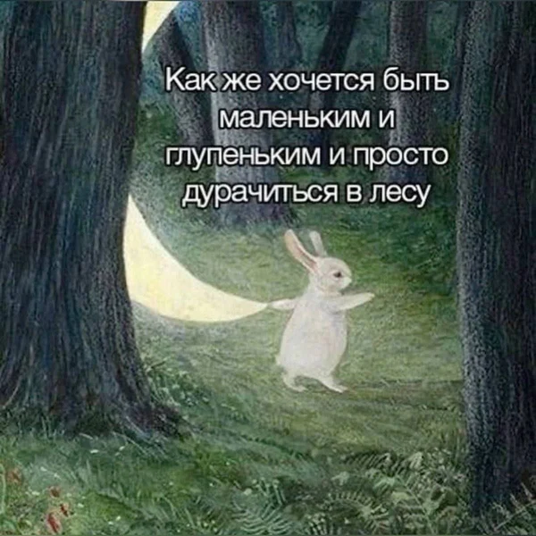 Карьера, финансы и прокрастинация — всё отменяется. Теперь я зайчик.