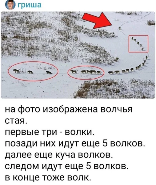 Когда захотел показать глубину — но вышел учёт инвентаря.
