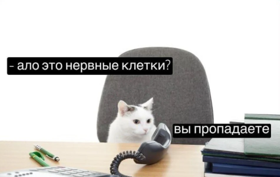 Алло, это нервные клетки?