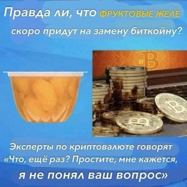 Когда ты просто хотел спросить, а тебе ответили техподдержкой реальности.