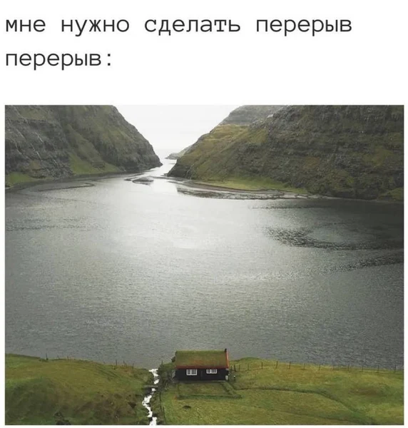 Просто дайте мне дом, дождь, овечку и чтобы никто не писал.