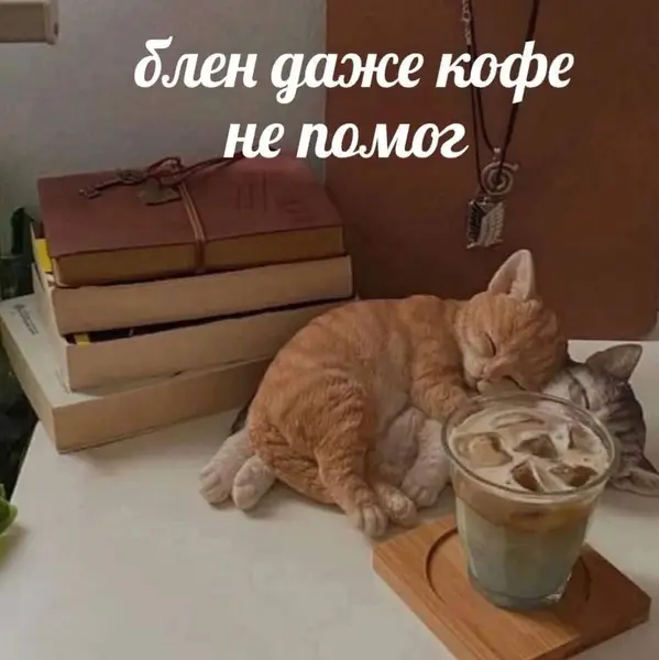 Кофе выпит, книги рядом, а организм выбрал спать. Блен.