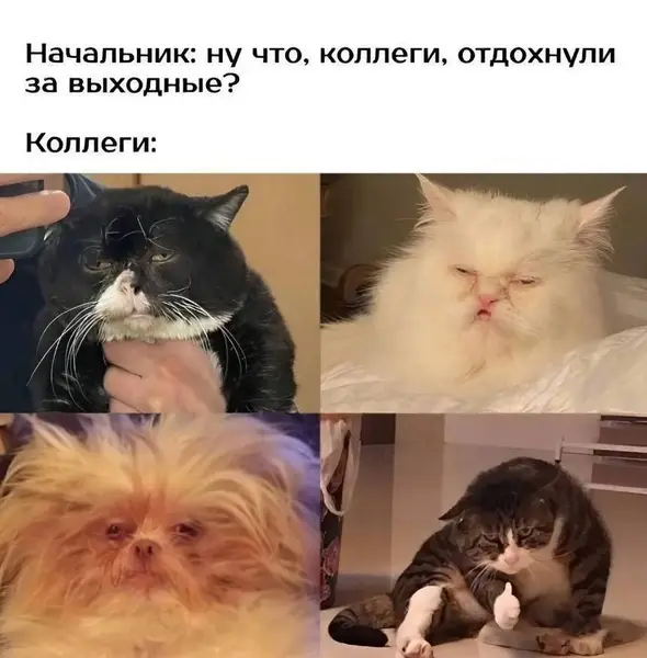 Когда выходные пролетели как одна минута… сна.