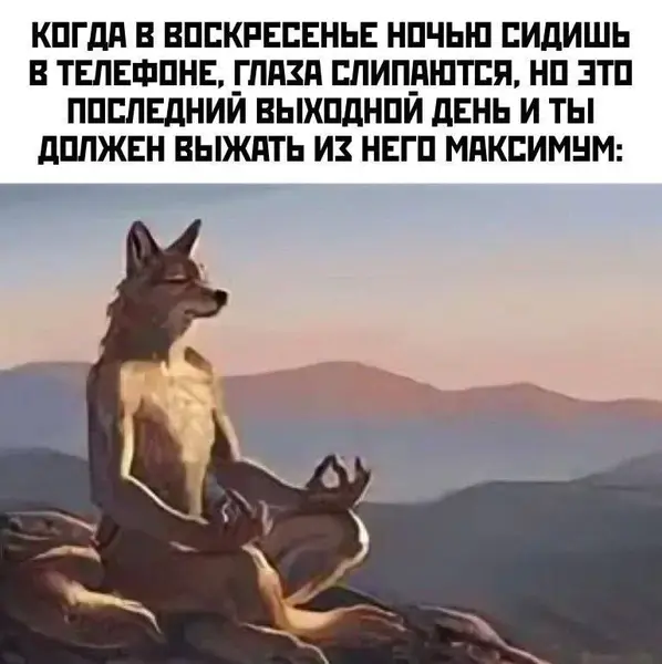 Последний час воскресенья — это не просто время, это битва за свободу.