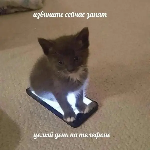 Когда говорят «перестань сидеть в телефоне», но ты буквально в нём.