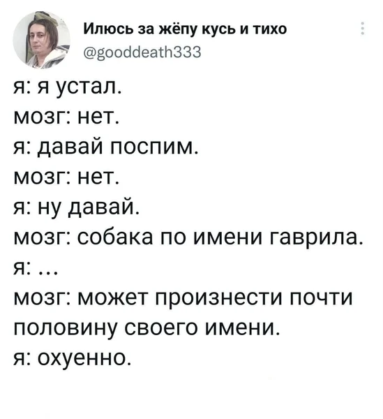 Мозг: собака по имени Гаврила может произнести почти половину своего имени.