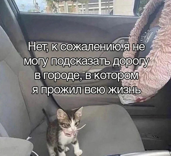 Когда живёшь здесь всю жизнь, но улицы будто перемешались.