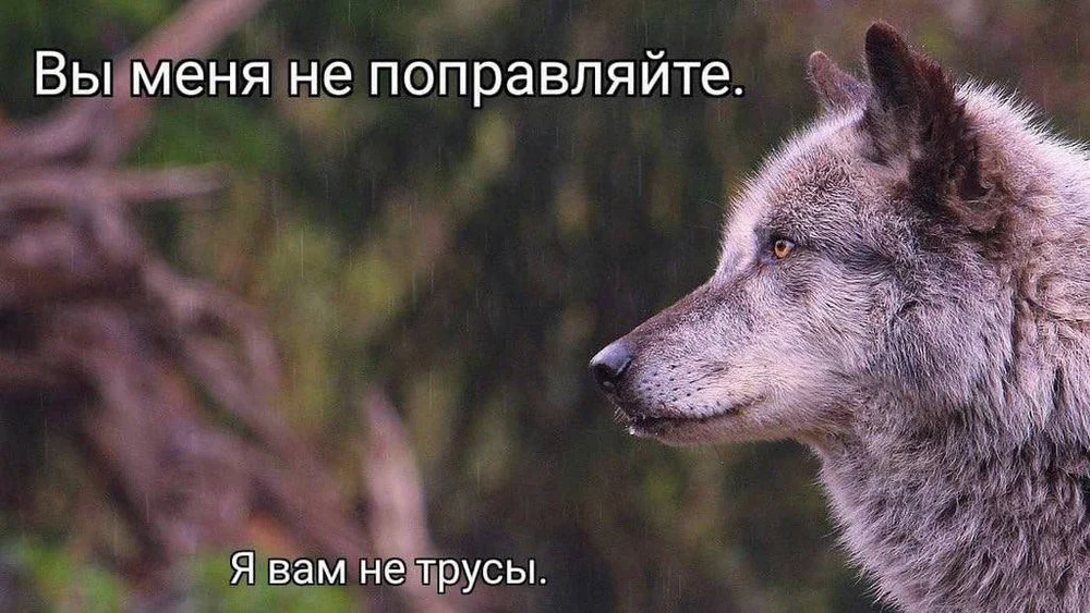 Когда не хочешь, чтобы тебя поправляли — ты же не трусы.