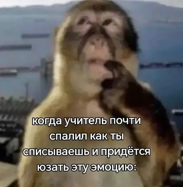 Активирует: «паника, смешанная с наивной невинностью»