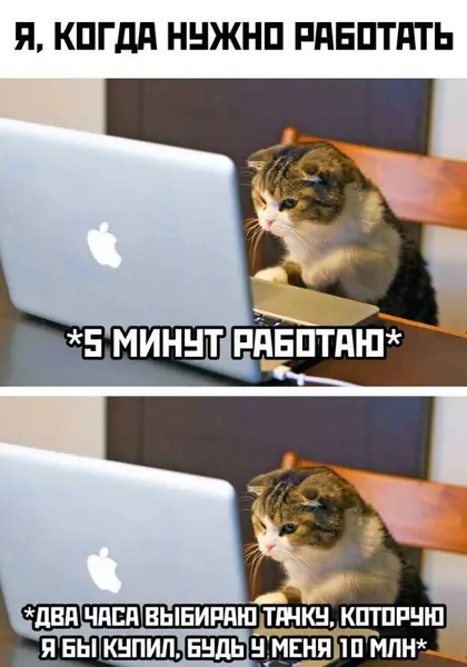 Финансов нет, но мечтать никто не запрещал. Особенно в рабочее время.